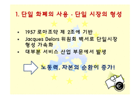 유럽연합의 과거와 미래-13