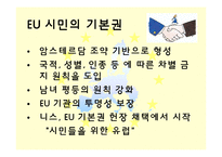 유럽연합의 과거와 미래-17