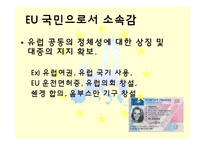 유럽연합의 과거와 미래-19