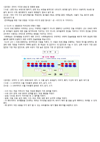 [유아교육과정] 교수체제 디스타 DISTAR(Direct Instructional System for Teaching Acceleration Remediation) 프로그램-3