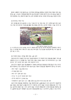 [스포츠 마케팅] K리그의 문제점 및 전략-12