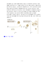 아이나비 팅크웨어의 내비게이션 마케팅전략-13