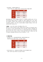 농심 기업경영분석-13