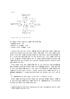 환위험관리와 개선방안-8