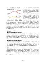 농심의 신라면과 삼양식품의 삼양라면의 마케팅믹스별 전략-17