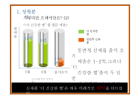 [촉진전략] CJ제일제당의 프레시안 IMC 전략-8