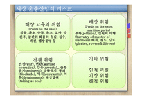 [보험과 리스크] STX팬오션의 리스크분석과 솔루션-5