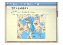 [보험과 리스크] STX팬오션의 리스크분석과 솔루션-9