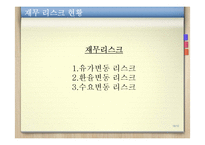 [보험과 리스크] STX팬오션의 리스크분석과 솔루션-18