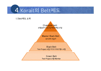 [품질경영] 코레일(Korail) 6시그마-13