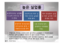 [중동시장론] 중동노동시장의 특수성-7