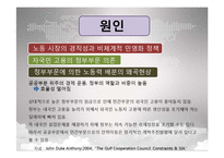 [중동시장론] 중동노동시장의 특수성-11