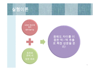 액액추출 레포트-5