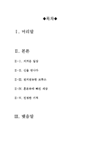 [최신A+우수자료]브루스올마이티영화감상문[짐캐리의 브루스올마이티 분석적영화감상문][브루스올마이티 영화감상문][브루스올마이티 감상문-2