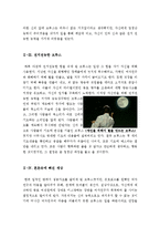 [최신A+우수자료]브루스올마이티영화감상문[짐캐리의 브루스올마이티 분석적영화감상문][브루스올마이티 영화감상문][브루스올마이티 감상문-5