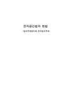전자공간법과 헌법(법치주의원리와 전자법치주의)-1