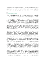 SCM의 도입효과와 성공사례-3