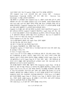 SCM의 도입효과와 성공사례-10