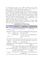 [가족과 복지국가] 복지국가의 가족과 국가의 역할, 국가의 관계에 대한 쟁점, 복지국가 가족정책-3