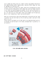 줄기세포 레포트-7