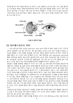 줄기세포 레포트-11