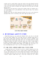 줄기세포 레포트-15