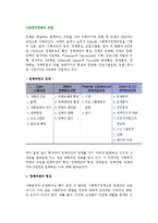 (사회복지정책절차) 사회복지정책의 과정-3