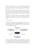 [벤처기업성장관리] 벤처기업 성장관리의 중요성, 창업성장 변천과정과 성장력 추진모형, 성장연구 및 과정, 경영전략-6