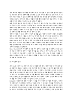 [아내학대가족] 가정폭력의 정의와 실태, 아내학대의 발생원인과 문제점, 아내학대가족 서비스현황과 대책방안-9