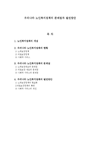 우리나라 노인복지정책의 문제점과 발전방안-1