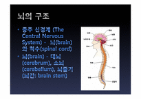 뇌의 인위적 향상 논쟁-7