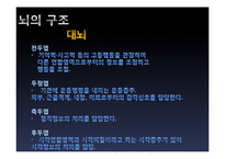 뇌의 인위적 향상 논쟁-9