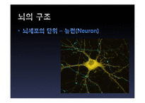 뇌의 인위적 향상 논쟁-10