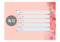분홍색 꽃배경 템플릿-2