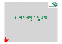 하이네켄의 국가별 광고 전략-3
