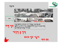 하이네켄의 국가별 광고 전략-6