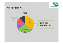 하이네켄의 국가별 광고 전략-12