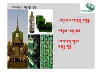 하이네켄의 국가별 광고 전략-17