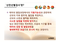 산전선별검사, 성 그리고 복제-2