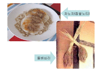 세시풍속-삼복과 유두-12