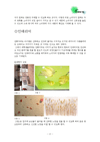 [창업론] 전통차 카페 사업 계획-12