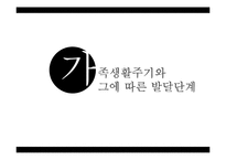 [가족복지] 가족생활주기와 발달단계-1