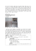 [교육학] 의미, 담화 영역에 관한 교육과정 내용 분석-7