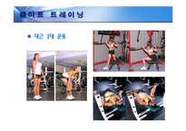 [체육교육] 체력관리 운동프로그램-7