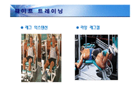 [체육교육] 체력관리 운동프로그램-8