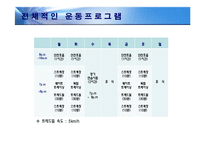 [체육교육] 체력관리 운동프로그램-13