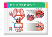 [교육학] 2007개정 중2 과학 수업 지도안-호흡과 배설-13