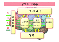 [교육공학] 인지적 정보처리이론 기반 교수학습 방법과 수업환경-3