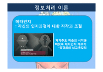 [교육공학] 인지적 정보처리이론 기반 교수학습 방법과 수업환경-17
