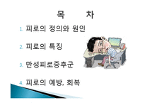 만성피로증후군, 피로의 예방과 회복-2